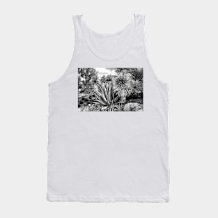 Desert Study 15a Tank Top